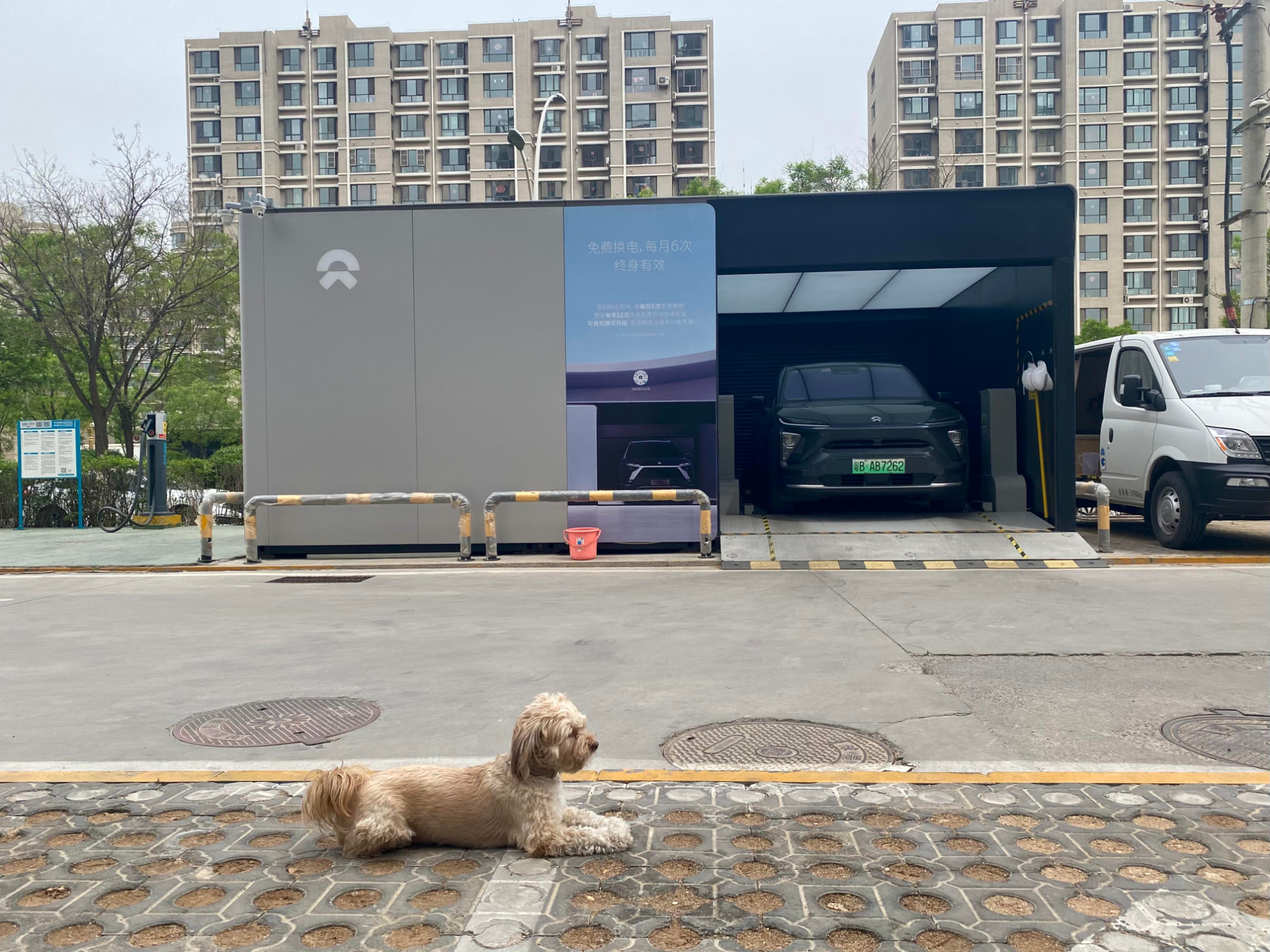 A NIO battery swap station in a Chinese residential neighborhood, with a dark green NIO SUV inside the swap bay and a small dog resting on the curb across the street